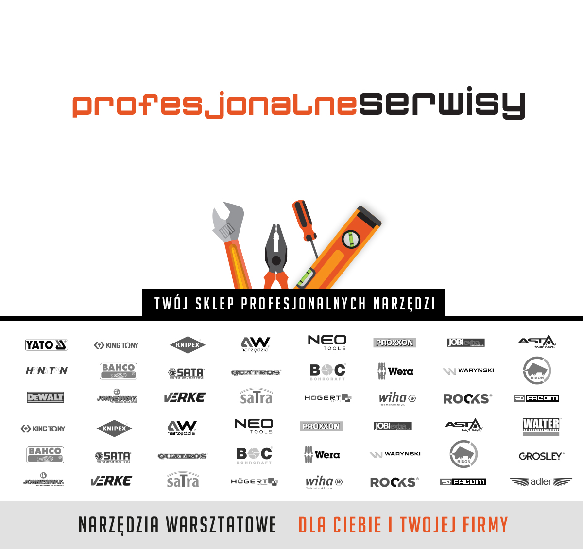 Roman G&oacute;rka Profesjonalne Serwisy